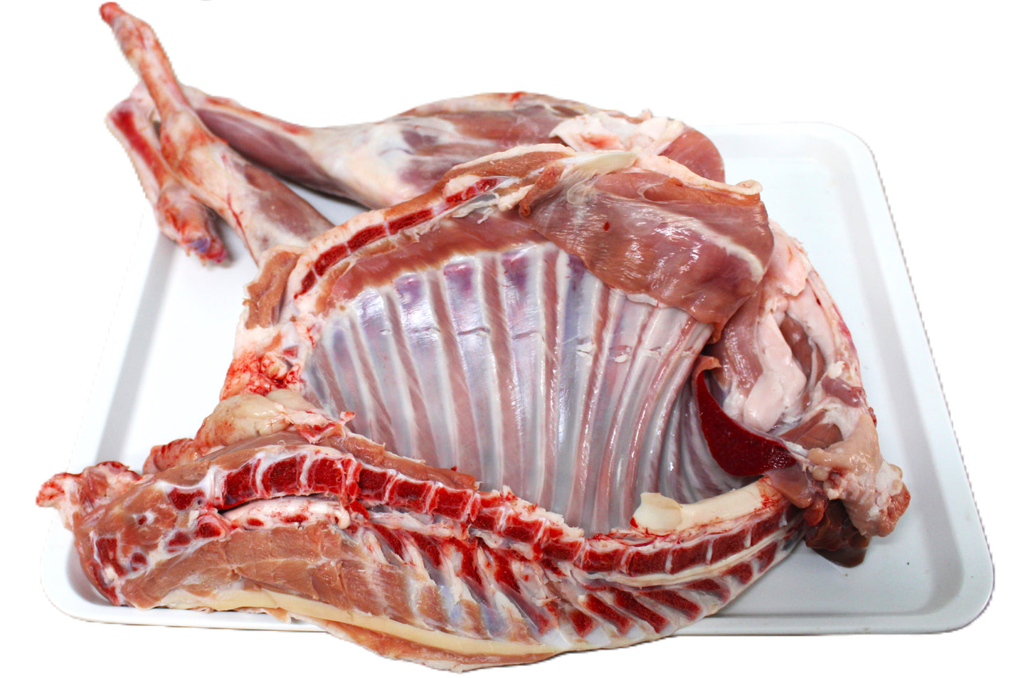 Agnello della Murgia Barese