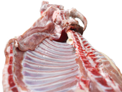 Agnello della Murgia Barese